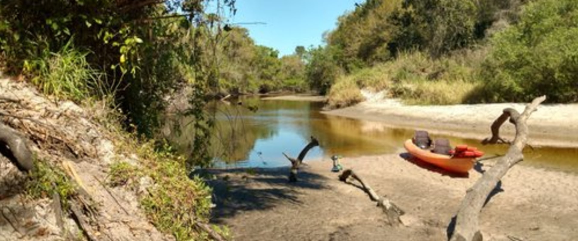The Ultimate Guide to Kayaking and Canoeing in Manatee County, FL