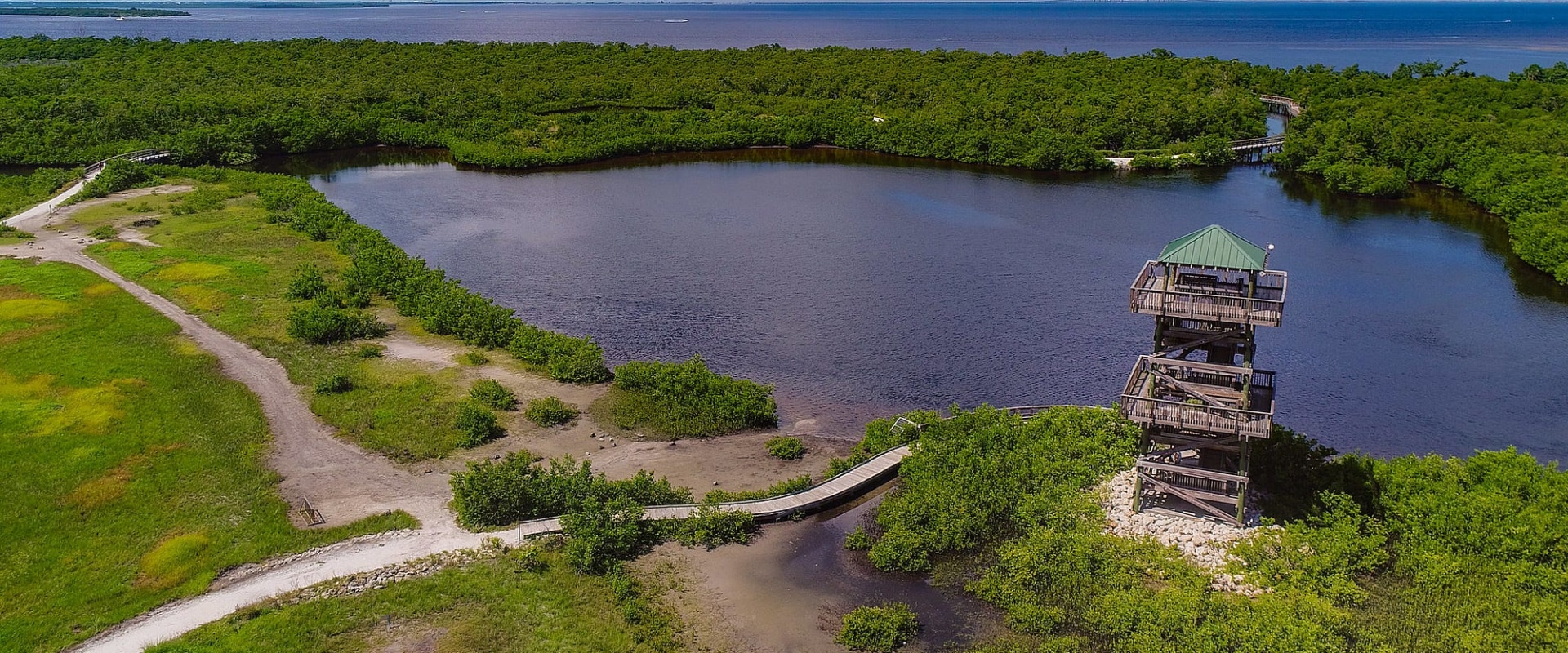 Discovering the Aquatic Adventures of Manatee County, FL