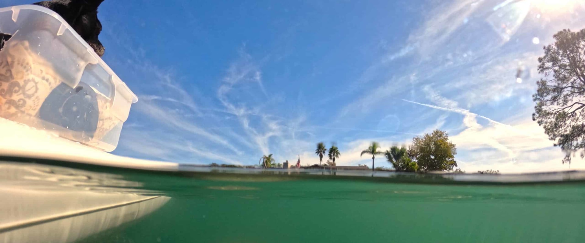 The Ultimate Guide to Exploring Manatee County, FL
