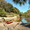 The Ultimate Guide to Kayaking and Canoeing in Manatee County, FL
