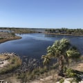 Uncovering the Hidden Gems: Exploring Manatee County, FL