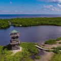 Uncovering the Hidden Gems of Manatee County, FL