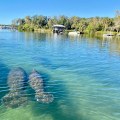 Exploring the Wild Side of Manatee County, FL