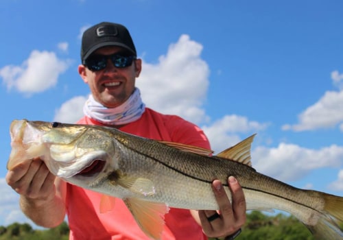 The Ultimate Guide to Fishing in Manatee County, FL: An Expert's Perspective