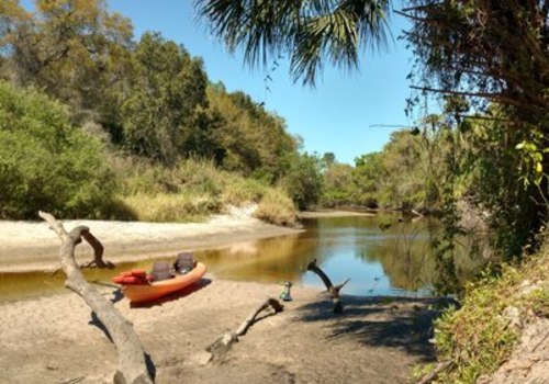 The Ultimate Guide to Kayaking and Canoeing in Manatee County, FL