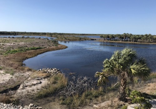 Uncovering the Hidden Gems: Exploring Manatee County, FL