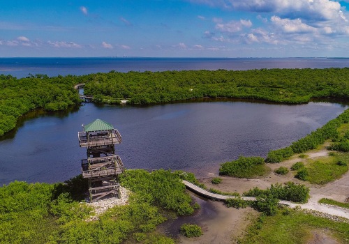 Discovering the Aquatic Adventures of Manatee County, FL