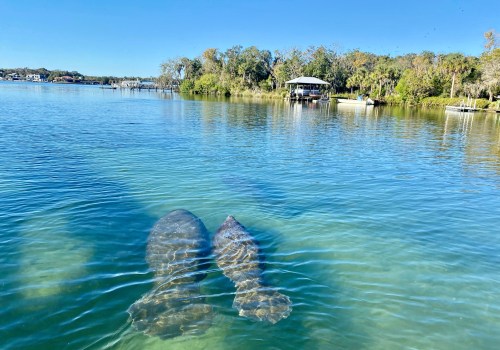 Experience Romance in Manatee County, FL