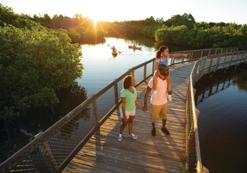 10 Must-Visit Family-Friendly Spots in Manatee County, FL